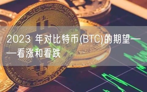 2023 年对比特币(BTC)的期望——看涨和看跌-第1张图片-交易所